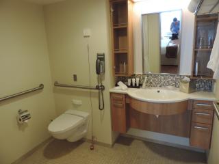 Accessible Cabin 3104