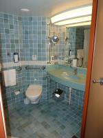 Handicap Accessible Toilet