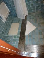 Handicap Wheelchair Accessible Roll in Shower