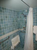 Handicap Accessible Roll in Shower