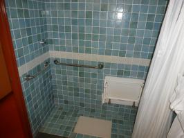 Handicap Accessible Roll in Shower