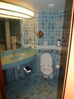 Handicap Accessible Sink and Toilet
