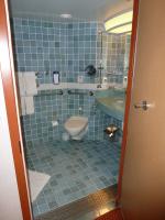 Handicap accessible toilet