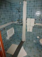 Handicap / Wheel Chair / Roll in Accessible Roll in Shower