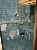 Handicap Accessible Toilet and Sink