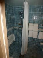 Handicap Accessible Shower