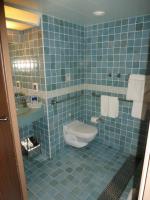 Handicap Accessible Toilet