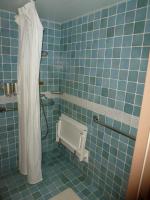 Handicap Accessible Shower