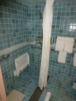 Accessible Roll in Shower