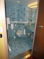 Accessible Roll in Shower