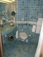Accessible Toilet and Sink