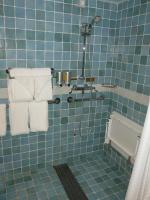 Accessible Roll in Shower
