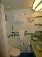 Bathroom Sink and Toilet