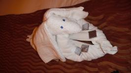 Carnival Dream Cabin 2258