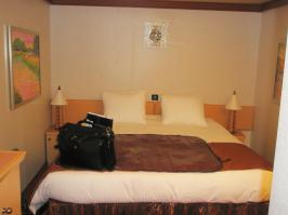 Bed and luggage mat