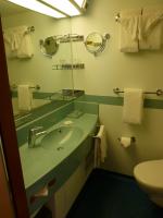 Bathroom mirror and sink