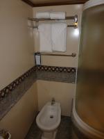 Bidet and shower