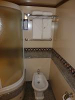 Bidet and Shower