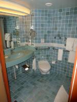 Handicap Accessible Sink and Toilet