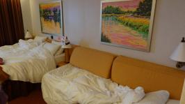 View of beds