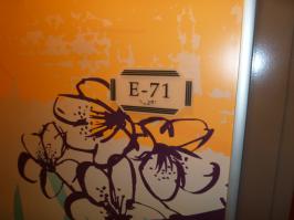 Stateroom E71