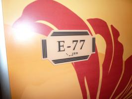 Stateroom E77
