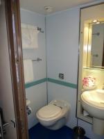 Toilet and Sink