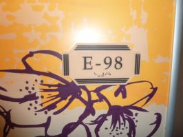 Stateroom E98