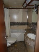 Toilet tub sink