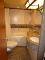 Tub sink toilet