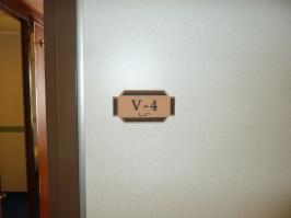 Stateroom V4