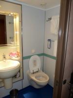 Sink and Toilet