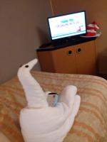 Carnival Triumph Cabin 7202