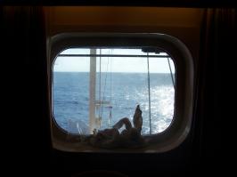 Cabin E 322