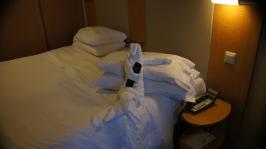 Royal Caribbean Allure of the Seas Cabin 10666