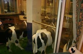 Ben & Jerry's Sweet Window looking into Promenade