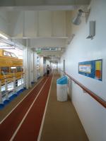 Royal Caribbean Oasis of the Seas - Jogging Track