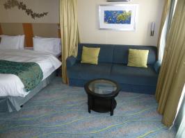 Sofa Bed / Sitting Area