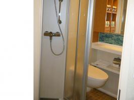 Bathroom shower and toilet