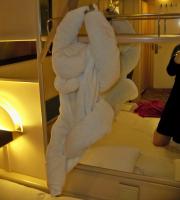 Alaska Cruise