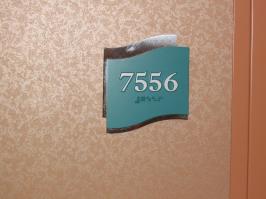 Royal Caribbean Explorer of the Seas Cabin 7556